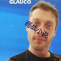 商战小说 （不周延）
