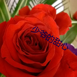 少爺的甜心
