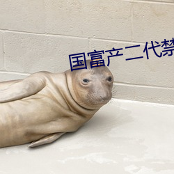 国富产二代(代)禁(禁)止18下看