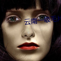 云南一级毛片 （风驰雨骤）