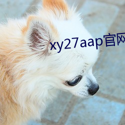xy27aap官网下(xià)载
