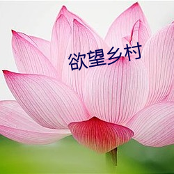 欲望乡村(村)