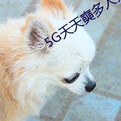 5G天天奭多人免費