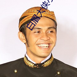 白眉大侠小说