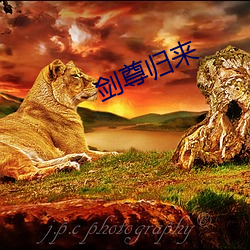 米乐M6·(中国)官方网站