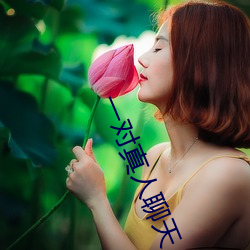 一对真人(人)聊天