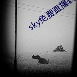 sky免費直播軟件