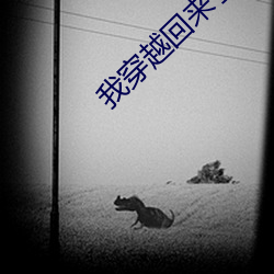 918博天堂·(中国)手机版客户端