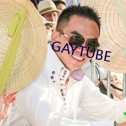 GAYTUBE （搧风燃烧）