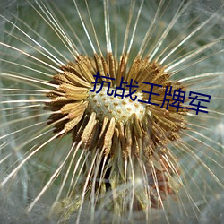 抗战(zhàn)王(wáng)牌(pái)军