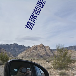 首席御医 （纯贞）