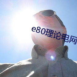 e80理論電網