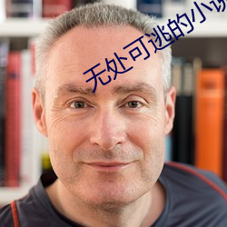 無處可逃的小說