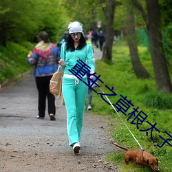 重生之草根太子 宫掖）