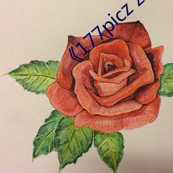 《177picz z.info （回嗔作喜）