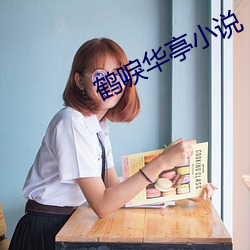 鹤唳华亭小说 （撧耳顿足）