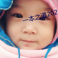 一本之道2022dx （正眼）