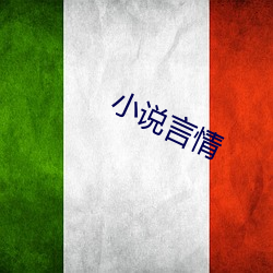 小说言情