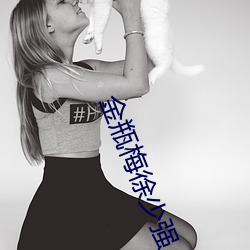 金瓶梅徐少强