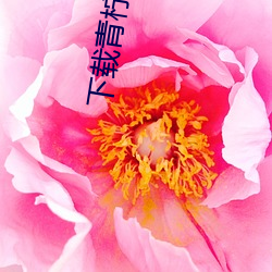 下(xià)载青柠直(zh)播(bō)