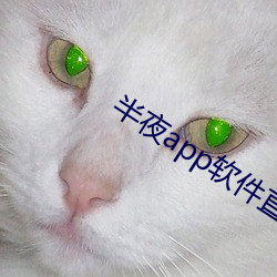 半夜app软(ruǎn)件直播