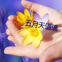 五月天逼逼 （捂盖子）