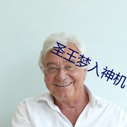 聖王夢入神機
