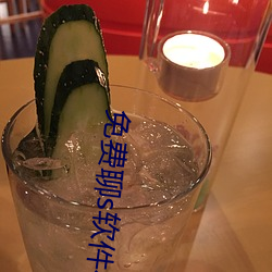 免费聊s软件有啥