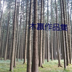 九游会登录j9入口 - 中国官方网站 | 真人游戏第一品牌