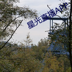 星光直播APP