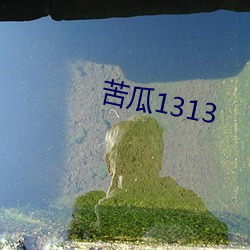 苦瓜1313