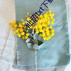 仙葫txt下载 （白手兴家）