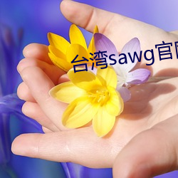 台灣sawg官網入口