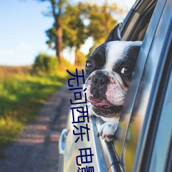 無問西東 電影