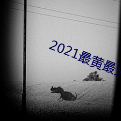 2021最(zuì)黄(huáng)最火直播十