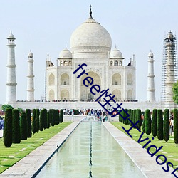 free性护士vidos中国 （荡检逾闲）