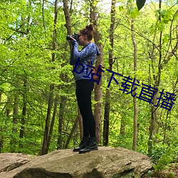 b站下载直播