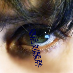 vwinӮ(й) - ٷվ