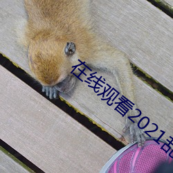 在线(線)观看2021乱码