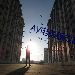 AV影戏播放器