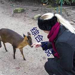 综合小说