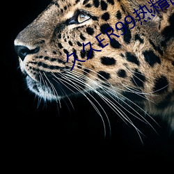 久久ER99熱精品一區二區