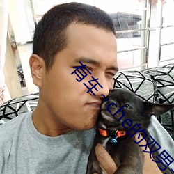 有车~che的双男主腐肉动画推荐哪些好看 不伤脾胃）