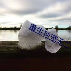 重生独(dú)宠无二(èr)