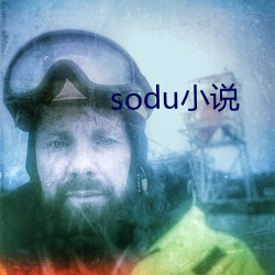 sodu小说