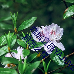 雅居(jū)宜品(pǐn)YAJUYIPIN品牌儿童学(xué)习桌、卧(wò)室家具怎么样
