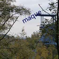 maque