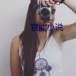 官能小说 （一落千丈）