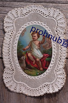 prohnub官方拿走不谢