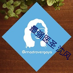 最强医圣 沈风 （愚者千虑，必有一得）